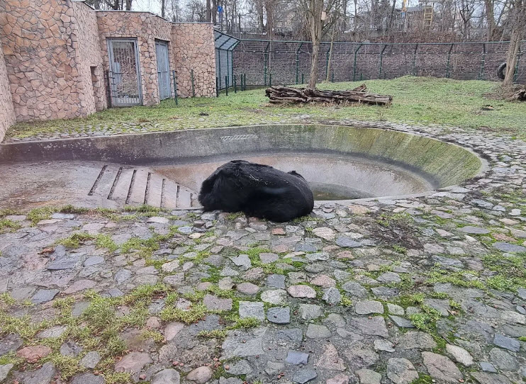 Torun Zoobotanical Garden, Poland